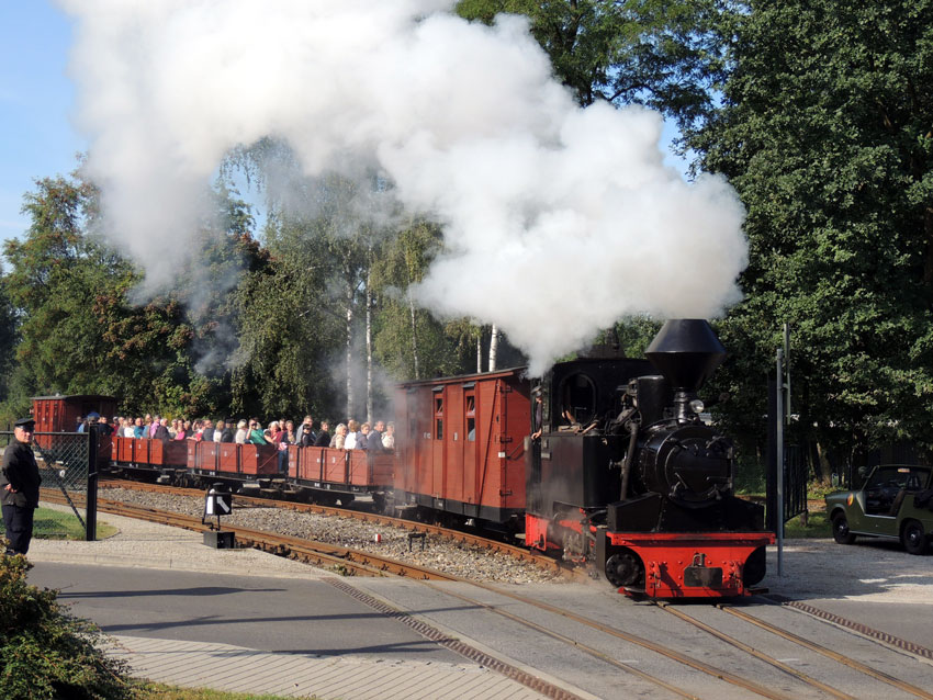 Waldeisenbahn mit Dampflok